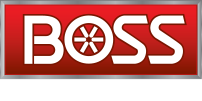 BOSS Snow Plows